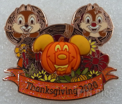 Thanksgiving 2020 - Chip -N- Dale
