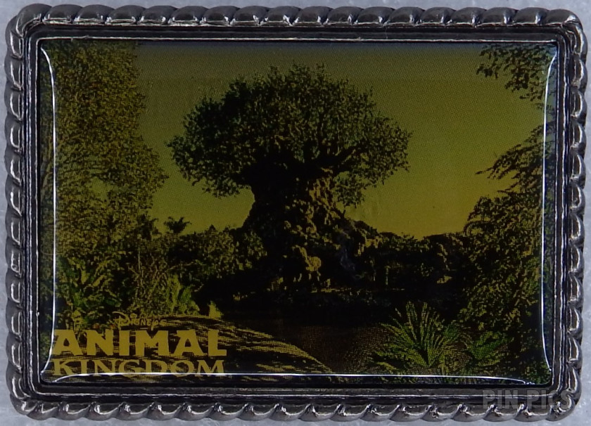 Animal Kingdom Postcard