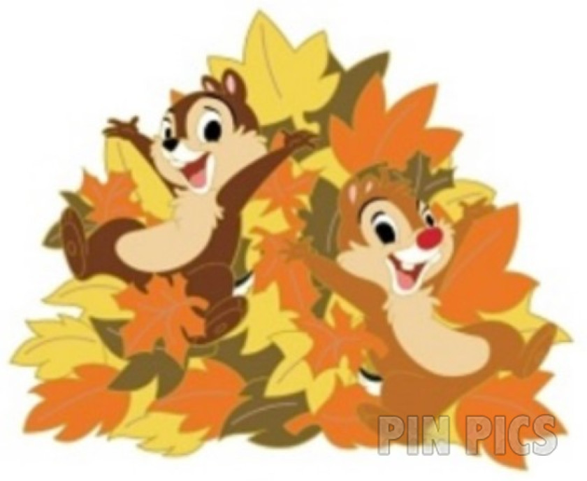 DSSH - Chip and Dale - Jumping in Fall Leaves