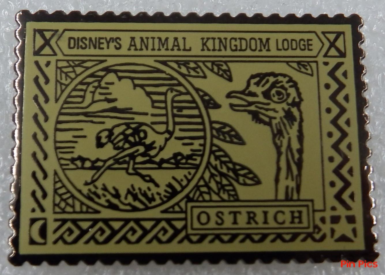 WDW - Ostrich - Animal Kingdom Lodge