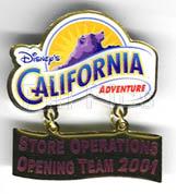 DCA - Store Operations Opening Team 2001