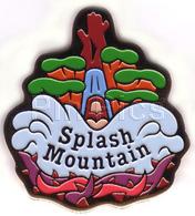 TDR - Splash Mountain - Attraction - TDL