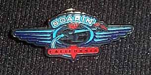 DCA Soarin over California wings