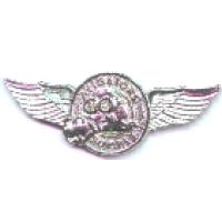 Avigator's Supply Wings Pin