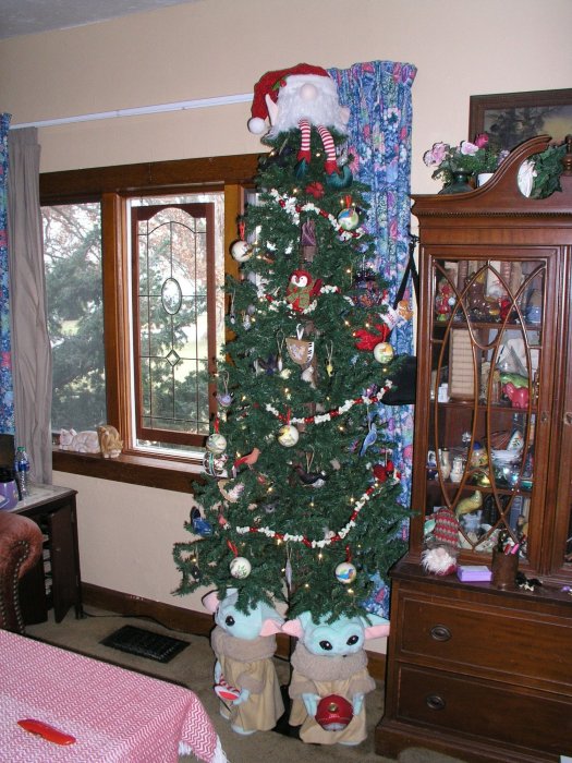 December 25, 2023 (6).JPG