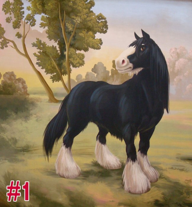 Saratoga Springs Horses 06a.jpg