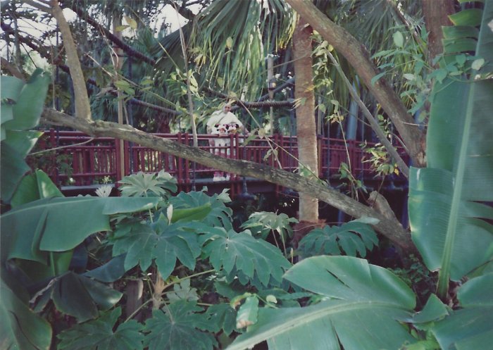 January 13, 1992 (4).jpg