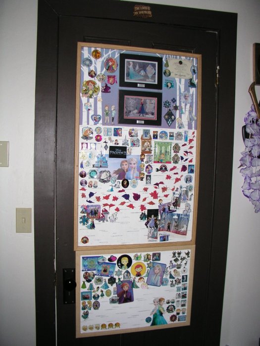 Pin Boards Lizzy's Frozen Whole.JPG