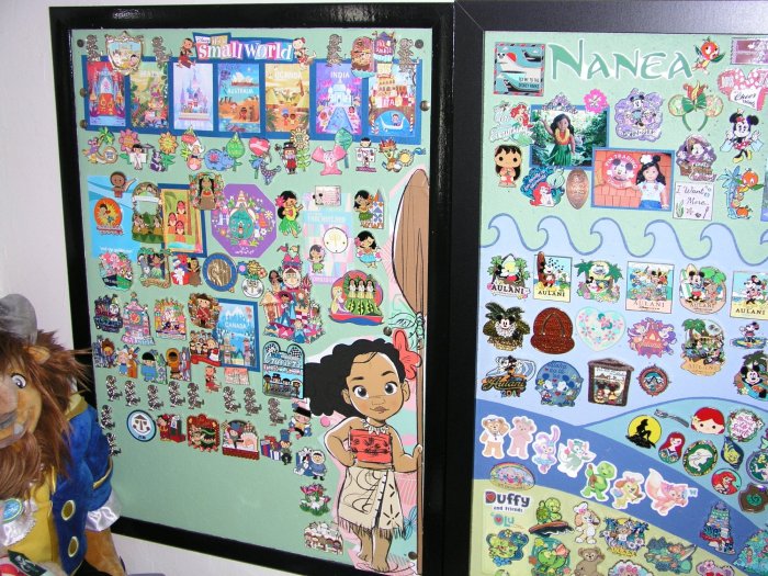 Pin Boards Sarah's  Small World.JPG