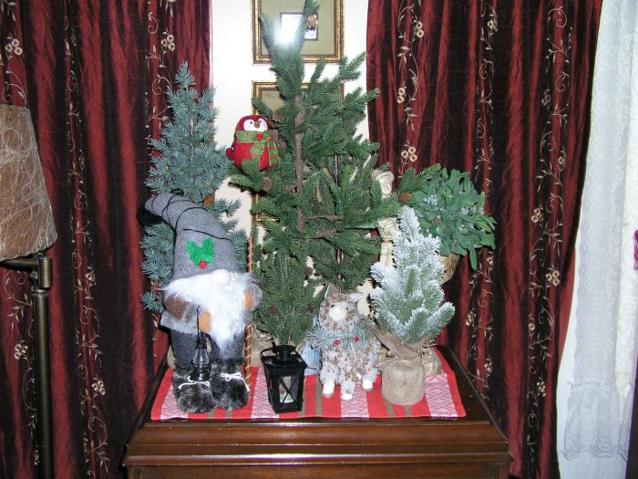 December 9, 2024 (11).JPG