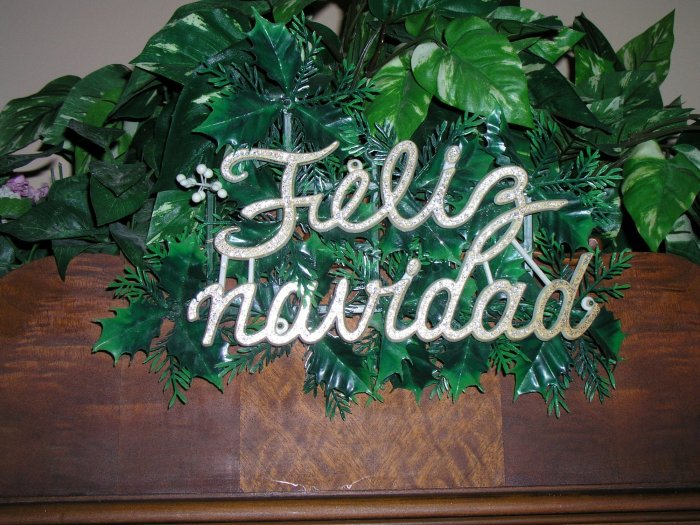 December 9, 2024 (12).JPG