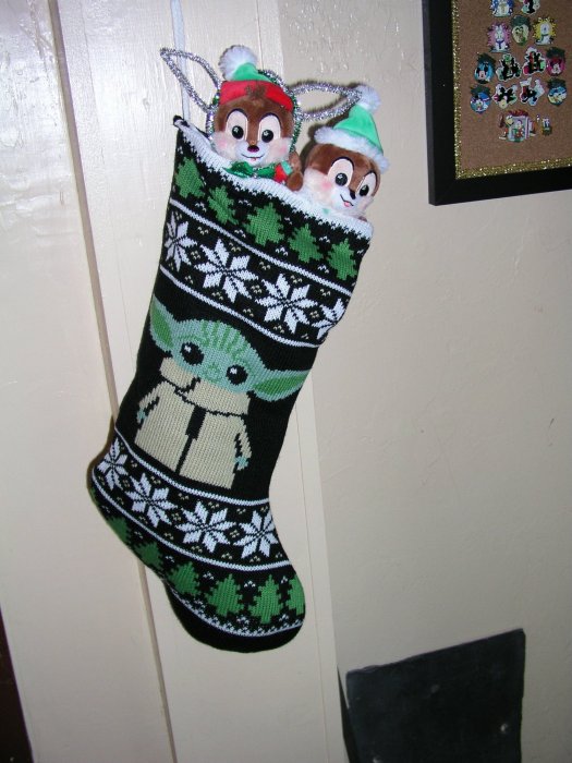 December 9, 2024 (8).JPG