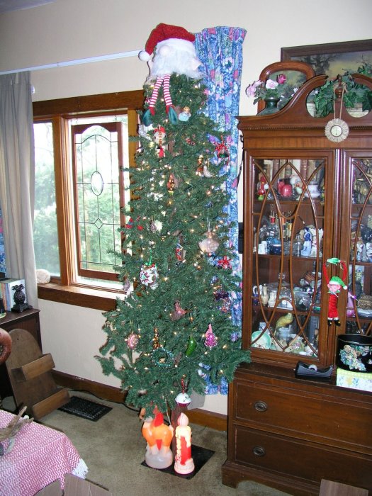 December 9, 2024.JPG