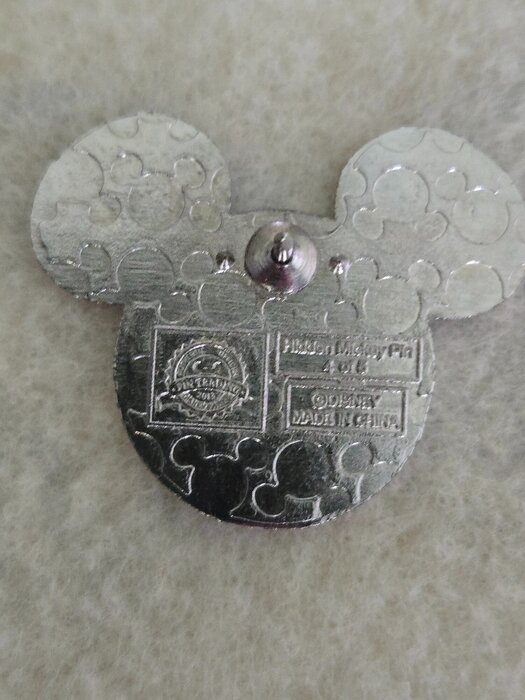 mystery pin back.jpg