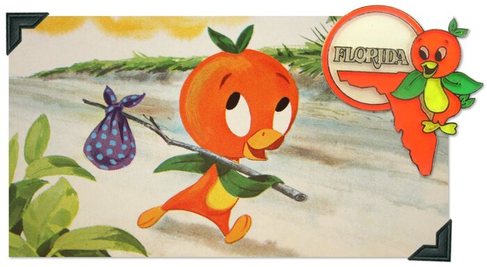 Orange Bird Photo and Pin.jpg