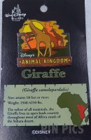 WDW - Giraffe - The Adventure Begins Pin Safari 2001 - Animal Kingdom