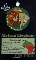 WDW - Elephant - The Adventure Begins Pin Safari 2001 - Animal Kingdom