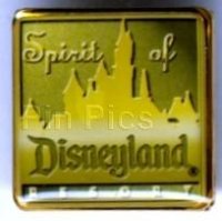 Disney Cast Member Spirit Award Winner Guest Pin