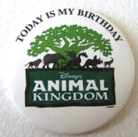 Animal Kingdom Today is my Birthday