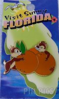 WDW - Chip and Dale - Visit Sunny Florida