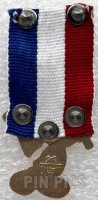 DS - Mickey Mouse - Flag Ribbon