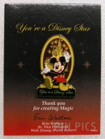 WDW - Mickey - Cast Award - You're a Disney Star - Castle