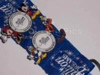 WDW - Year of A Million Dreams - Color - Set