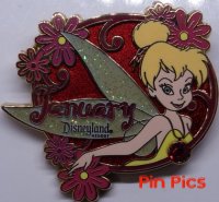 View Pin # PP60561