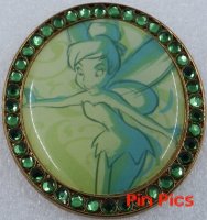 DS - Tinker Bell Portrait