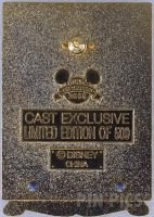 DLR - Splash Mountain Stained Glass - Cast Exclusive - Pin of the Month August 2008
