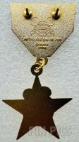 Mickey - Veterans Day 2008 - Medal