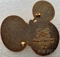 DS - Mickey Mouse - 80th Anniversary - Fire Brigade