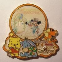 View Pin # PP76004