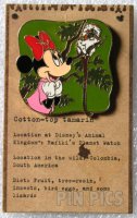 WDW - Minnie Mouse with Cotton-top Tamarin - Animal Kingdom - Animals Mystery