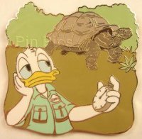 WDW - Donald with Galapagos Tortoise - Animal Kingdom - Animals Mystery