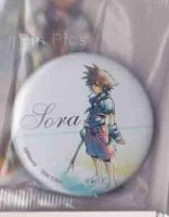 Kingdom Hearts - Sora Standing In water
