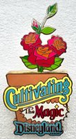 DL - Cultivating the Magic - Potted Roses - Slider