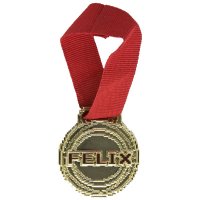 DSF - Wreck it Ralph Medal