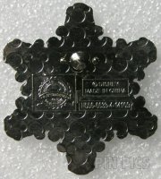 Anna & Elsa Jeweled Snowflake - Frozen