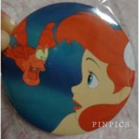 View Pin # PP100529