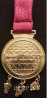 WDW - 2012 Disney Wine and Dine Half Marathon - Medal