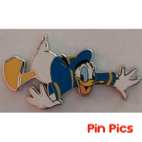 Donald Duck - Feathered Friends - Mystery