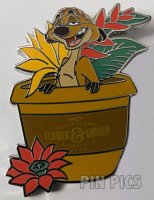 WDW - Timon - Epcot Flower and Garden 2024 - Mystery - Lion King