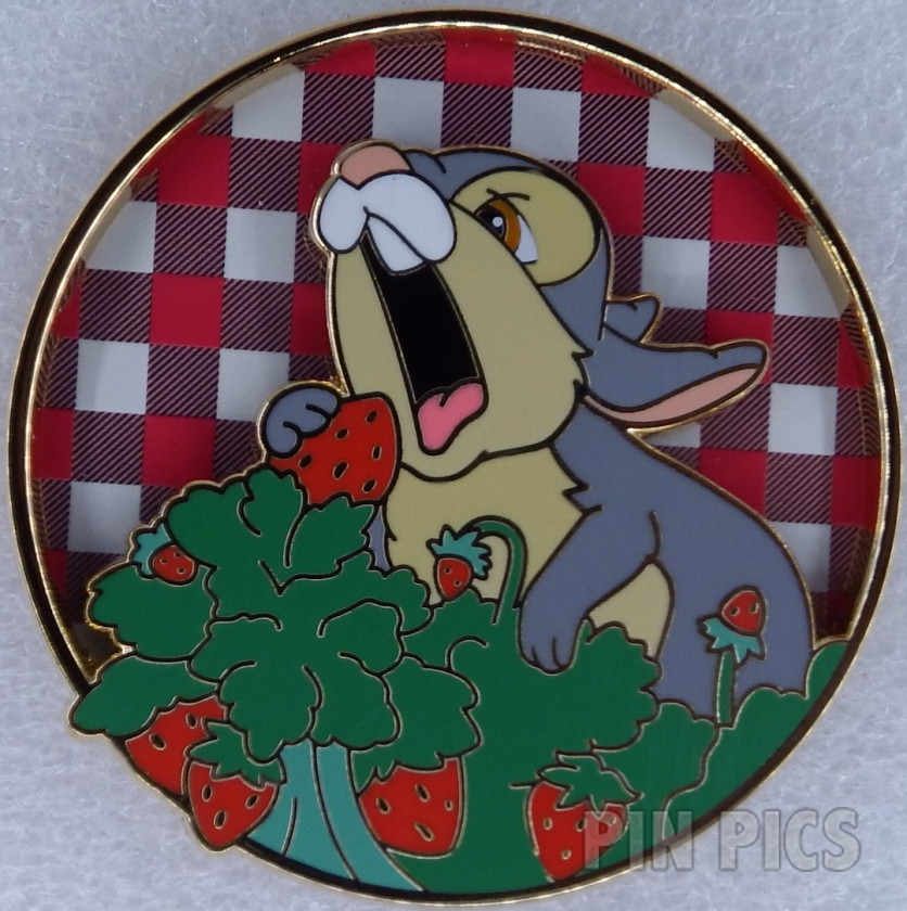 PP167201 - DSSH - Thumper - Berry Cute - D23 Expo 2024