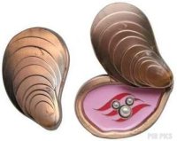 DCL - Oyster Shell
