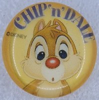 Japan - Chip and Dale - Dale - Dome