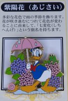 Japan - Donald Duck - Hydrangea - Flowers of Japan - June - JDS