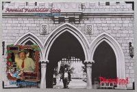 DLR - Walt Disney, Brer Rabbit - Annual Passholder