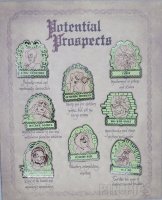 WDW - 13 Reflections of Evil - Potential Prospects Set