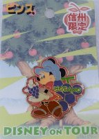 Disney on Tour - Minnie Mouse - Nagano Grape